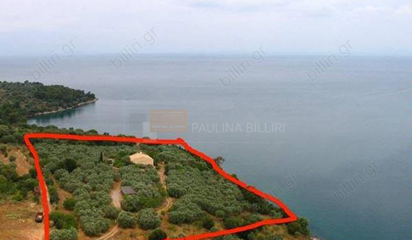 Οικόπεδο, μονοκατοικία - Plot and single family house